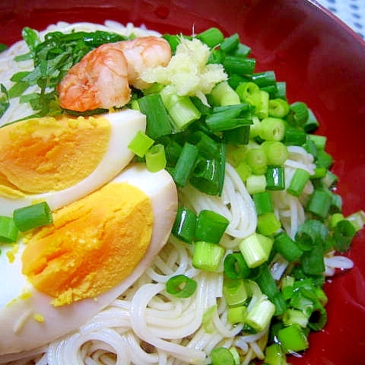 暑ーい夏に！冷やしぶっかけそうめん